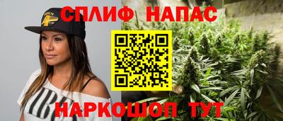 стаф Кунгур