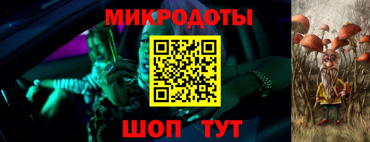 Камень-на-Оби  Галлюциногенные грибы Psilocybe  Вход с VPN 